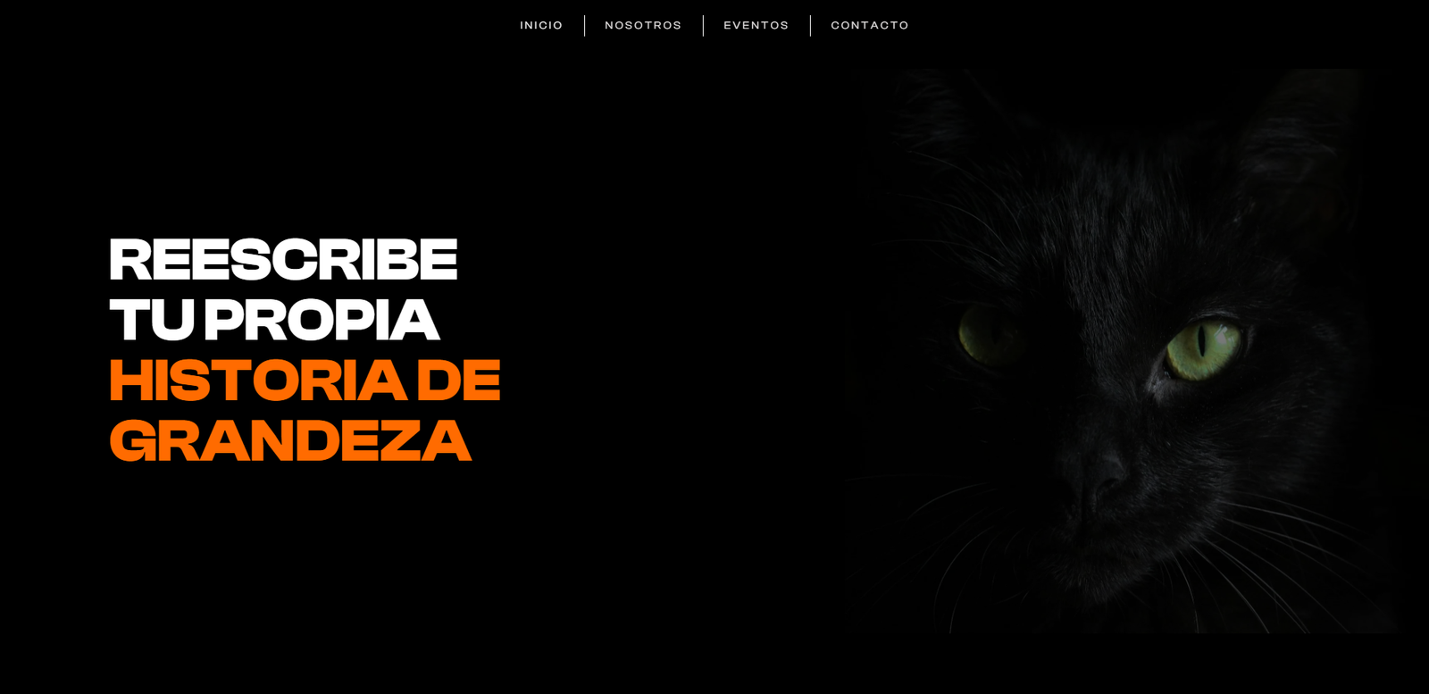 Proyecto 3